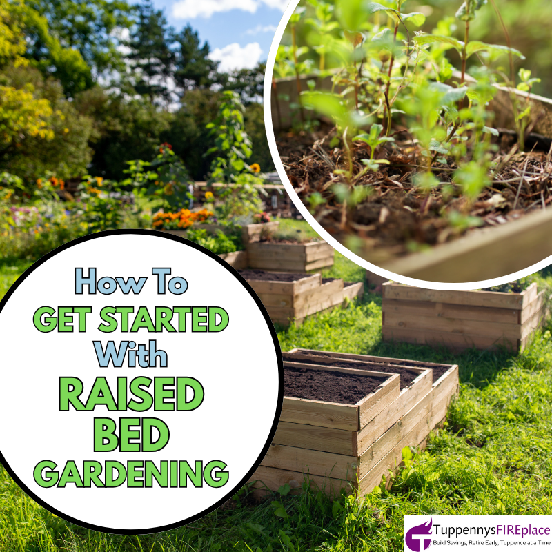10 Tips to Start Raised Bed Gardening - Tuppennys Fireplace